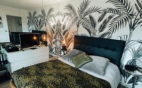 Beautiful Modern Fully Furnished Studio